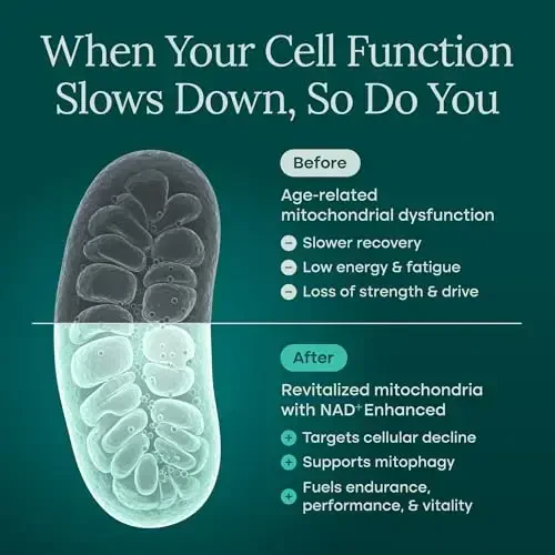 Liposomal NAD+ qoʻshimchasi 500mg Urolitin A, CoQ10, Resveratrol & Giloy bilan (AQShda ishlab chiqarilgan), hujayra energiyasi, kognitiv, qarishga qarshi & detoks qoʻllab-quvvatlash uchun NAD qoʻshimchasi - 3-partiya sinovidan oʻtgan Vegan, Non-GMO - 5