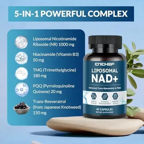 Liposomal NAD Supplement -1000mg, NAD Resveratrol Supplement for Women & Men with Nicotinamide Riboside, Resveratrol, PQQ & TMG, NAD Plus Boosts NAD+ Levels, Anti-Aging & Brain, 60 Capsules - 2