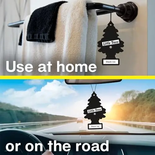 LITTLE TREES Air Fresheners Car Air Freshener. Hanging Tree Provides Long Lasting Scent for Auto or Home. Celebrate!, 24 Air Fresheners - 6