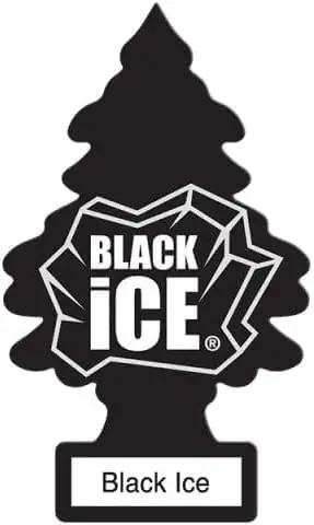 LITTLE TREES Car Air Freshener | Hanging Paper Tree for Home or Car | Black Ice | 10 Pack - 2