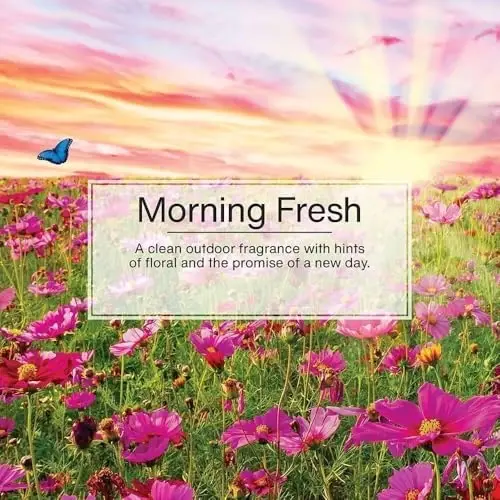 Little Trees Car Air Freshener 3-PACK (Daisy Fields) - 4