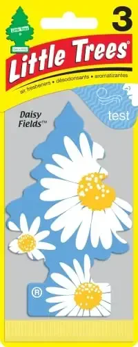 Little Trees Car Air Freshener 3-PACK (Daisy Fields) 