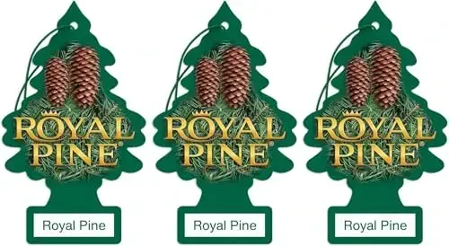 LITTLE TREES Car Air Freshener | Hanging Paper Tree for Home or Car | Royal Pine | 3 Pack - LITTLE TREES