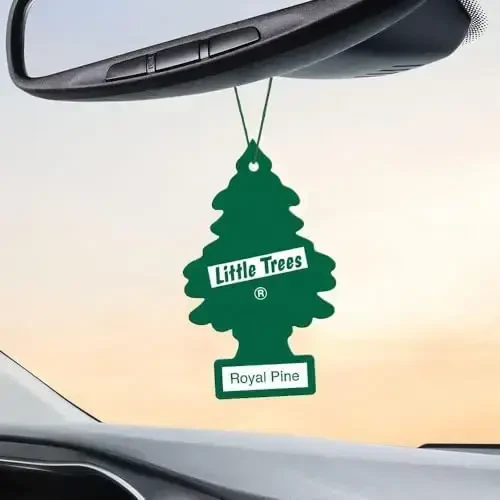 LITTLE TREES Car Air Freshener | Hanging Paper Tree for Home or Car | Royal Pine | 3 Pack - 5