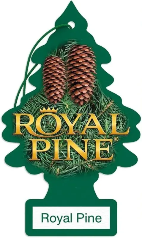 LITTLE TREES Car Air Freshener | Hanging Paper Tree for Home or Car | Royal Pine | 3 Pack - 6