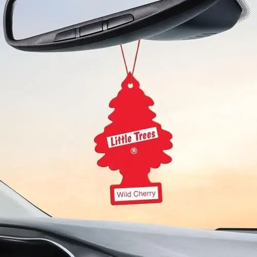 LITTLE TREES Car Air Freshener | Hanging Paper Tree for Home or Car | Wild Cherry | 4 Pack - 4