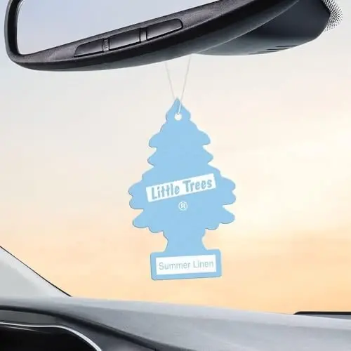 LITTLE TREES Car Air Freshener | Hanging Paper Tree for Home or Car | Summer Linen | 6 Pack - 4