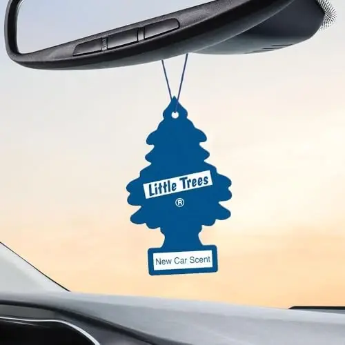 LITTLE TREES Car Air Freshener | Hanging Paper Tree for Home or Car | New Car Scent - 3