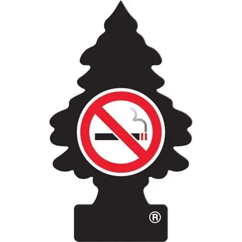 Little Trees Car Air Freshener 6-Pack (NO Smoking) - 1