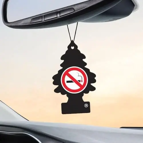 Little Trees Car Air Freshener 6-Pack (NO Smoking) - 4