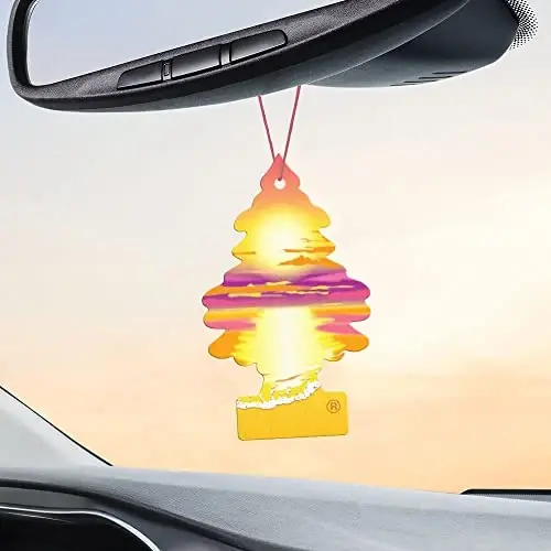 Little Trees Car Air Freshener 6-Pack (Sunset Beach) - 2