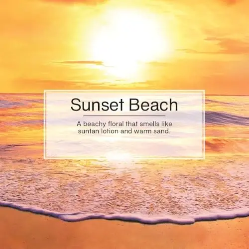 Little Trees Car Air Freshener 6-Pack (Sunset Beach) - 3