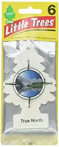 Little Trees Car Air Freshener 6-Pack (True North) - 1