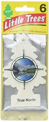 Little Trees Car Air Freshener 6-Pack (True North) 