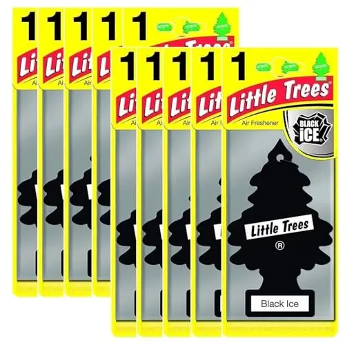 LITTLE TREES Car Air Freshener | Hanging Paper Tree for Home or Car | Black Ice | 10 Pack - LITTLE
