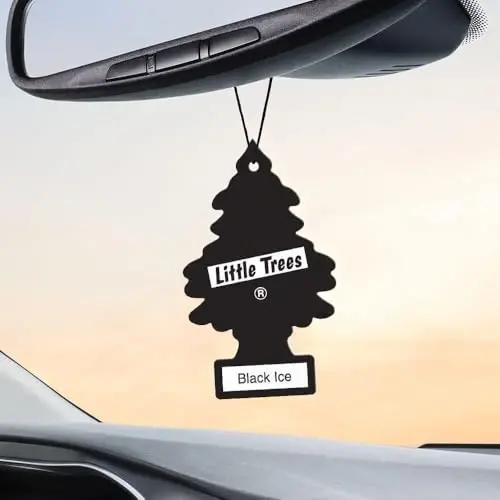 LITTLE TREES Car Air Freshener | Hanging Paper Tree for Home or Car | Black Ice | 10 Pack - 3