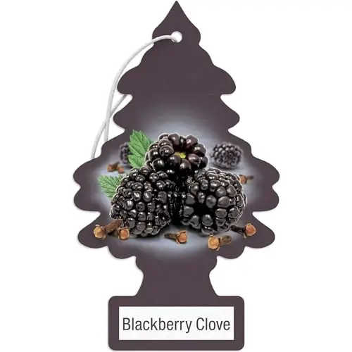 LITTLE TREES Car Air Freshener | Hanging Paper Tree for Home or Car | Blackberry Clove | Pack of 24 - 1