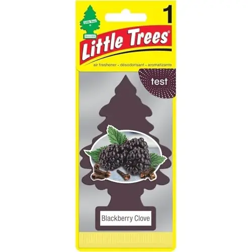 LITTLE TREES Car Air Freshener | Hanging Paper Tree for Home or Car | Blackberry Clove | Pack of 24 - LITTLE TREES (1)