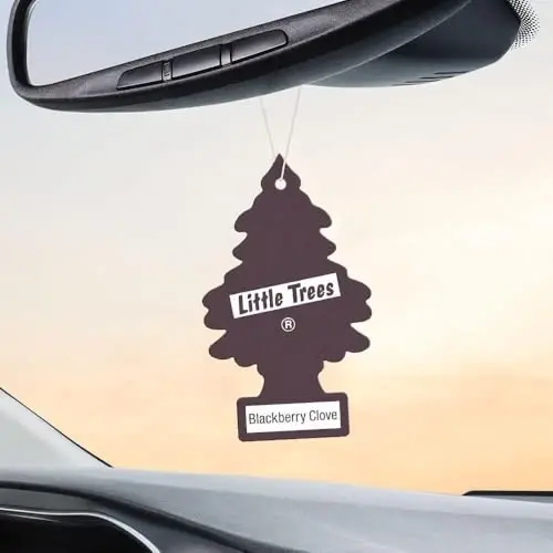LITTLE TREES Car Air Freshener | Hanging Paper Tree for Home or Car | Blackberry Clove | Pack of 24 - 4