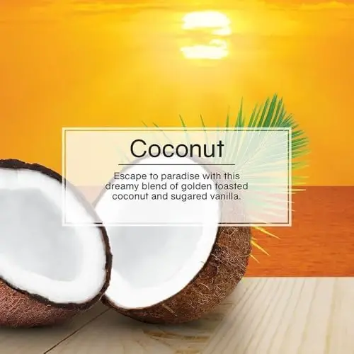 LITTLE TREES Car Air Freshener | Hanging Paper Tree for Home or Car | Coconut | 12 Pack (Packaging May Vary) - 5