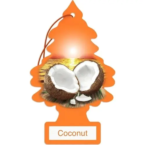 LITTLE TREES Car Air Freshener | Hanging Paper Tree for Home or Car | Coconut | 24 Pack 