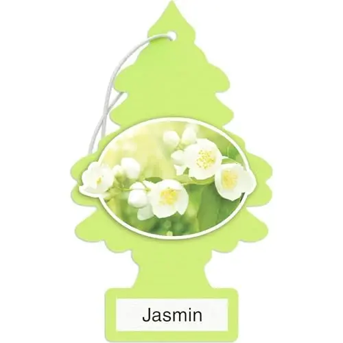 LITTLE TREES Car Air Freshener | Hanging Paper Tree for Home or Car | Jasmin | 12 Pack 