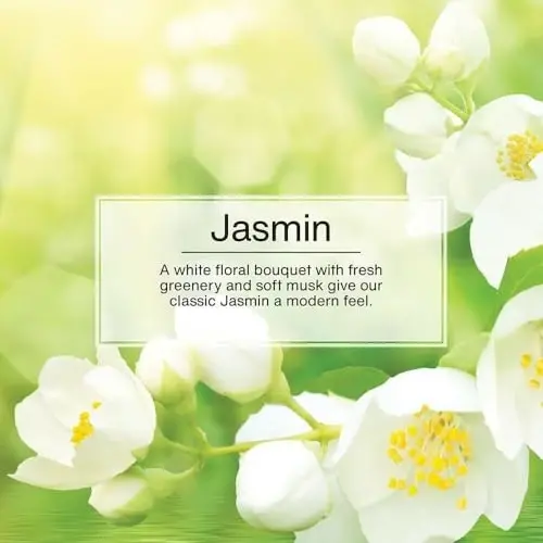 LITTLE TREES Car Air Freshener Hanging Paper Tree for Home or Car , 