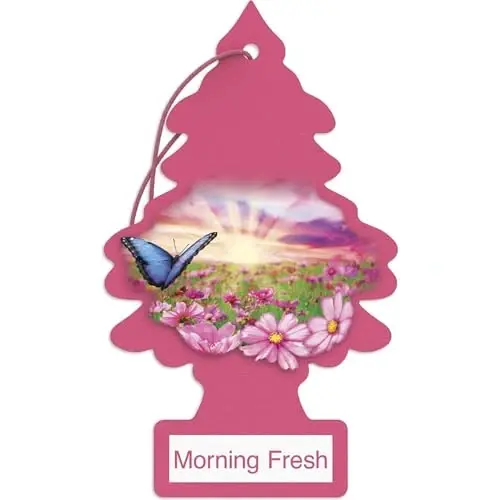 LITTLE TREES Car Air Freshener | Hanging Paper Tree for Home or Car | Morning Fresh - 1
