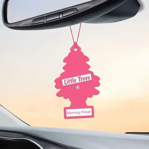 LITTLE TREES Car Air Freshener | Hanging Paper Tree for Home or Car | Morning Fresh - 4