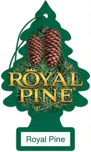 LITTLE TREES Car Air Freshener | Hanging Paper Tree for Home or Car | Royal Pine | 3 Pack - 6