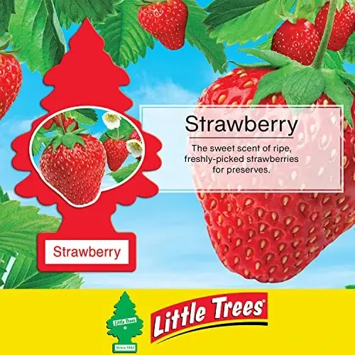 LITTLE TREES Car Air Freshener | Hanging Paper Tree for Home or Car | Strawberry | 6 Pack - 4
