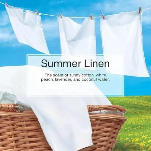 LITTLE TREES Car Air Freshener | Hanging Paper Tree for Home or Car | Summer Linen | 6 Pack - 5