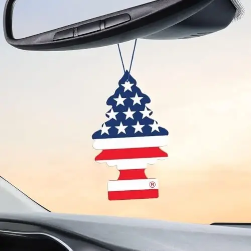 LITTLE TREES Car Air Freshener | Hanging Paper Tree for Home or Car | Vanilla Pride | Single Pack - LITTLE TREES (1)