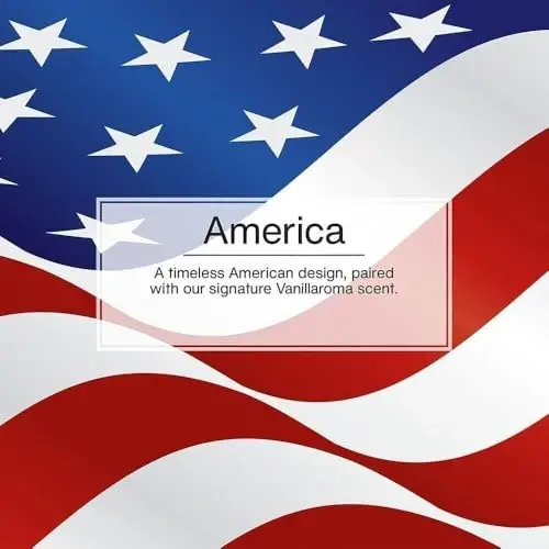 LITTLE TREES Car Air Freshener | Hanging Paper Tree for Home or Car | Vanilla Pride | Single Pack - 4