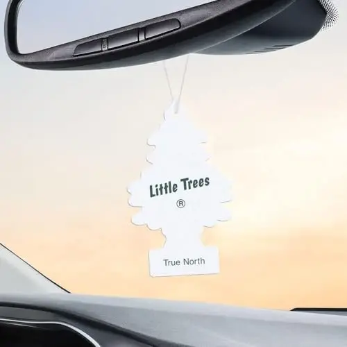 LITTLE TREES CAR FRESHNER U1P17146 Little Trees Air Fresheners, True North - 4