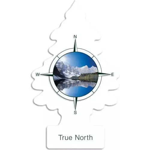 LITTLE TREES CAR FRESHNER U1P17146 Little Trees Air Fresheners, True North 