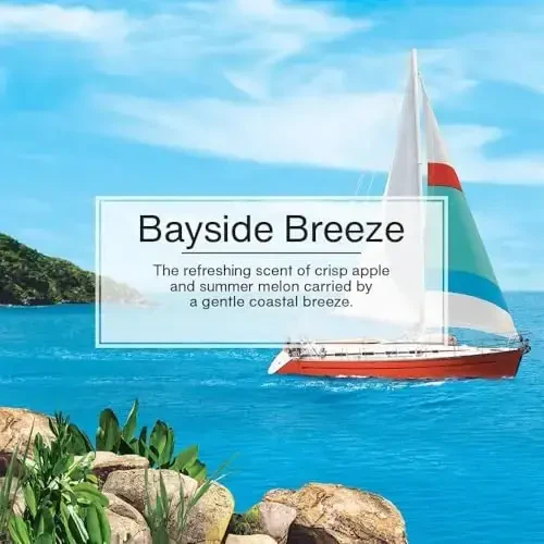 Little Trees Cardboard Hanging Car, Home & Office Air Freshener, Bayside Breeze (Pack of 6) - 5