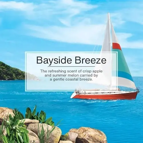 Little Trees Cardboard Hanging Car, Home & Office Air Freshener, Bayside Breeze (Pack of 6) - 5