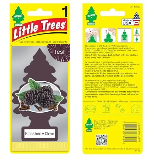 Little Trees DAS-17343 Car Air Freshener | Hanging Paper Tree for Home or Car | Blackberry Clove 