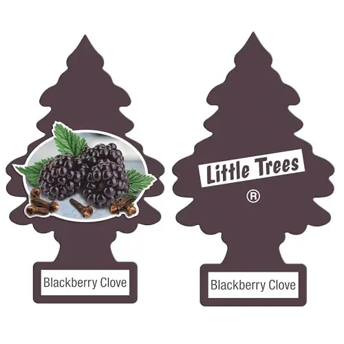 Little Trees DAS-17343 Car Air Freshener | Hanging Paper Tree for Home or Car | Blackberry Clove - 2