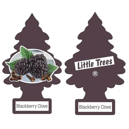 Little Trees DAS-17343 Araç Kokusu | Ev veya Araç için Asılı Kağıt Ağaç | Böğürtlen Karanfil - 2