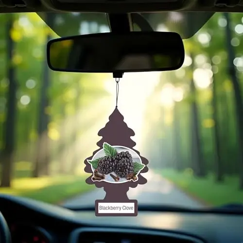 Little Trees DAS-17343 Car Air Freshener | Hanging Paper Tree for Home or Car | Blackberry Clove - 3