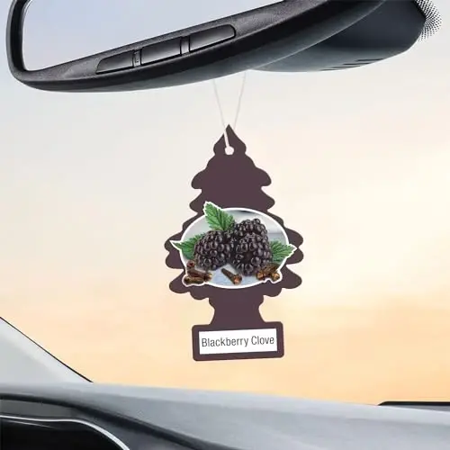 Little Trees DAS-17343 Car Air Freshener | Hanging Paper Tree for Home or Car | Blackberry Clove - 3