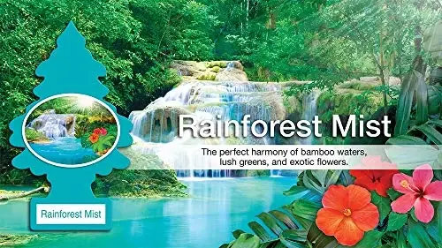 Little Trees karton osilgan avtomobil, uy va ofis uchun havo tozalagichi, Rainforest Mist (12 dona) - 3