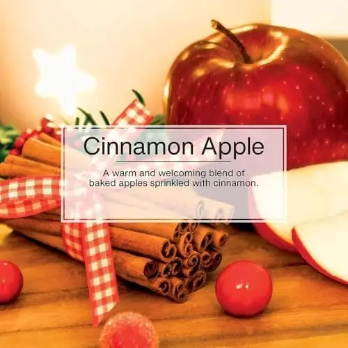 Car Freshner U1P10338 Little Trees Cinnamon Apple Air freshener, 24 Pack - 5