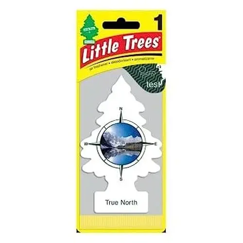 Little Trees True North Scent Air Freshener, 24 Pack - 1