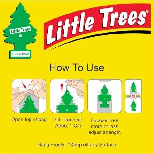 Little Trees True North Scent Air Freshener3 - 6