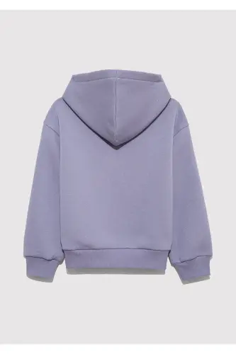 Logo Baskılı Kapüşonlu Mor Sweatshirt 7610035-88095-Mor - 4