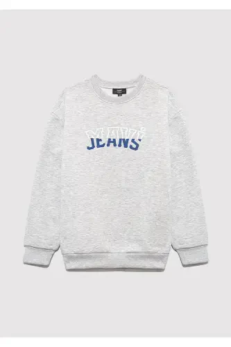 Logo bosilgan kulrang sviter 6s10031-85438 - 3