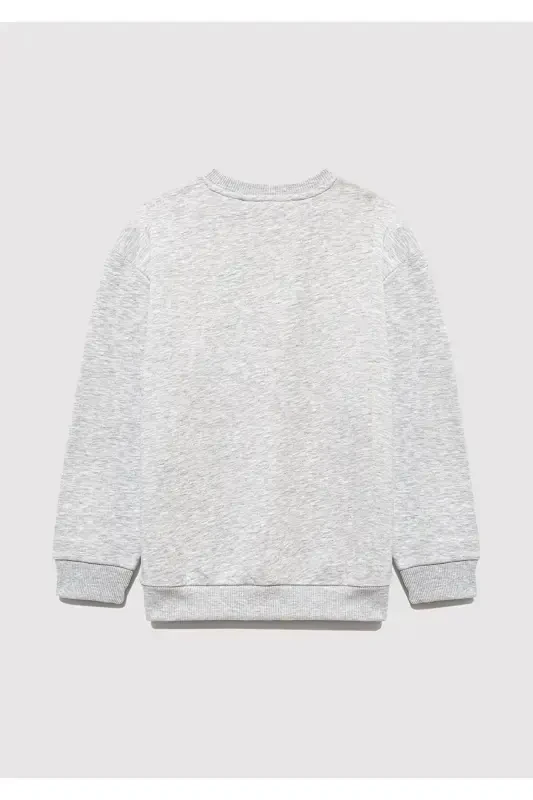 Logo bosilgan kulrang sviter 6s10031-85438 - 4